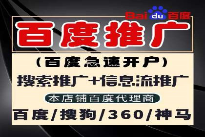 大数据分析在竞价广告中的应用